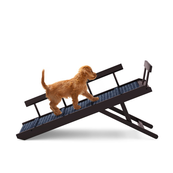 Tucker Murphy Pet™ Wooden Adjustable Dog Ramp With Rails Wayfair